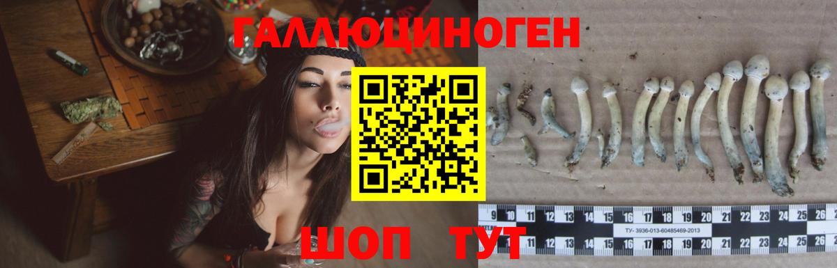 Галлюциногенные грибы Psilocybine cubensis  Вход с VPN  Надым 